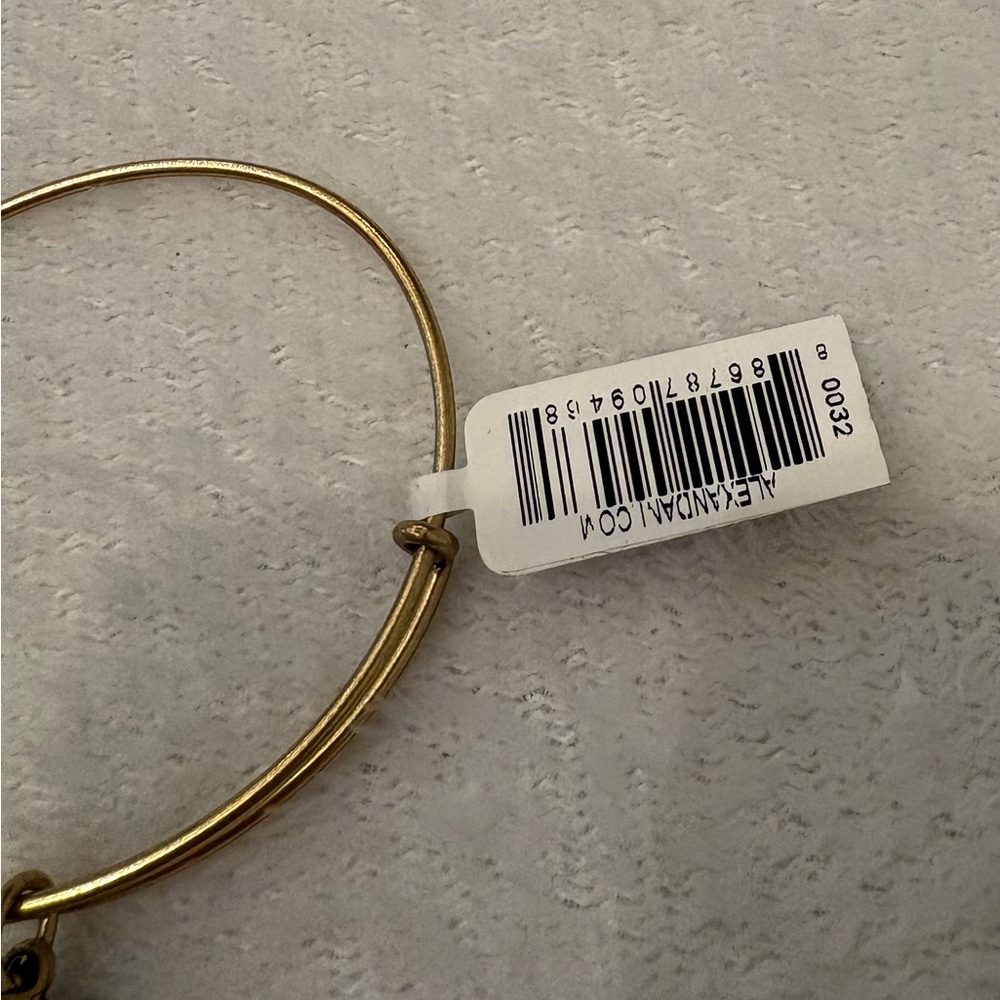 Alex and Ani Rose Gold NFL Minnesota Vikings Charm Bracelet - Picture 5 of 5